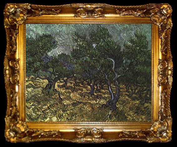 framed  Vincent Van Gogh The Olive Grove, ta009-2